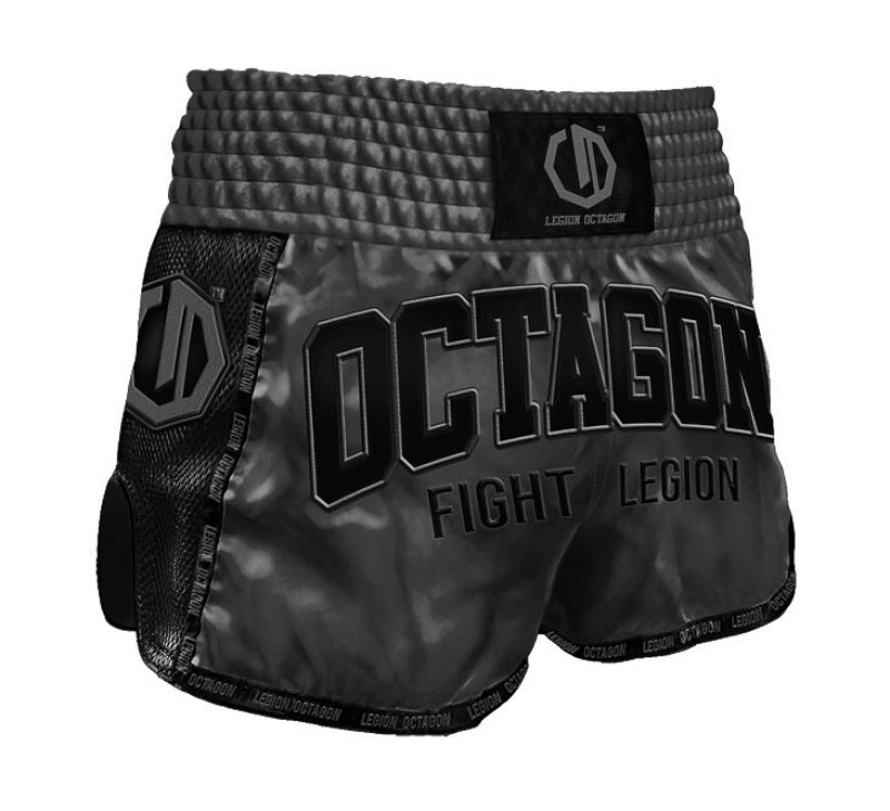 Spodenki Kickboxing/Muay Thai Legion Octagon Fight Legion PREMIUM grey/black